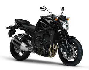 fz1.jpg