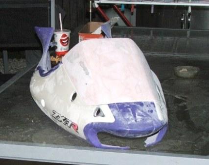 tail 1.JPG