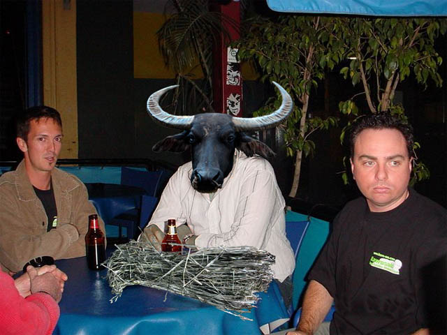 now for something different, an ox head on a mina body :)