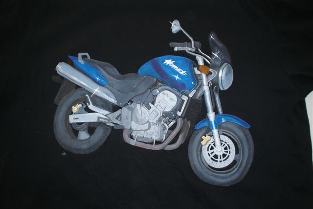 Copy of 600hornet.JPG