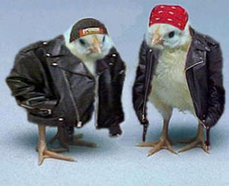 We all like Biker Chcks right??