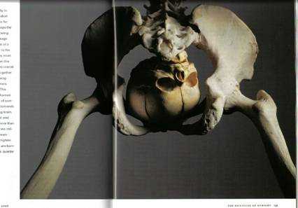Your typical politician from the Pre-Cretaceous period, scientific name is Homo Electus....