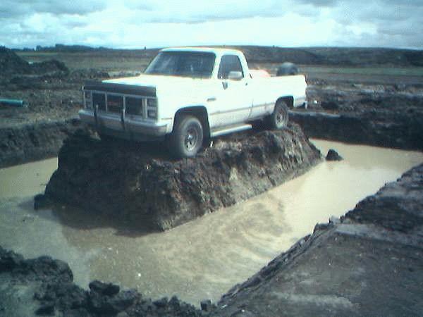 StrandedEffie.jpg