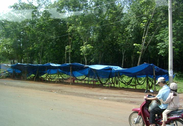 Our accomodation was a bit average, luckily I got a posturpedic hammoc.