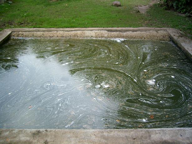 and we did have a pool...