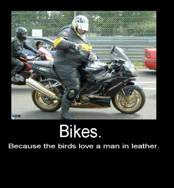Birdslove.jpg