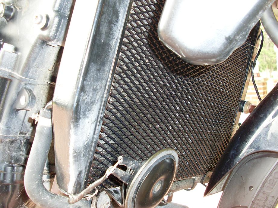 Mesh 10.JPG