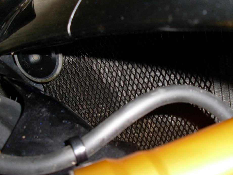 Mesh 11.JPG