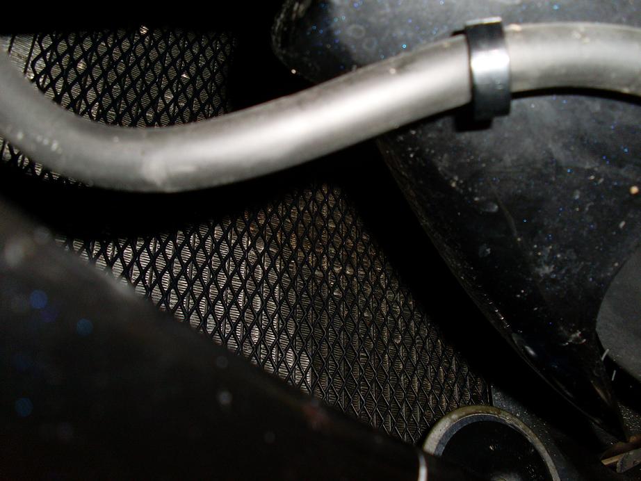 Mesh 12.JPG