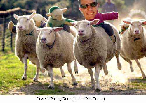 My Race!