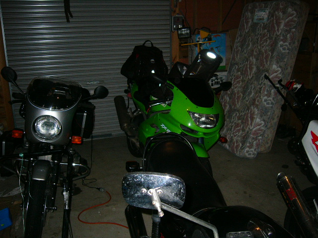 in the shed the night before