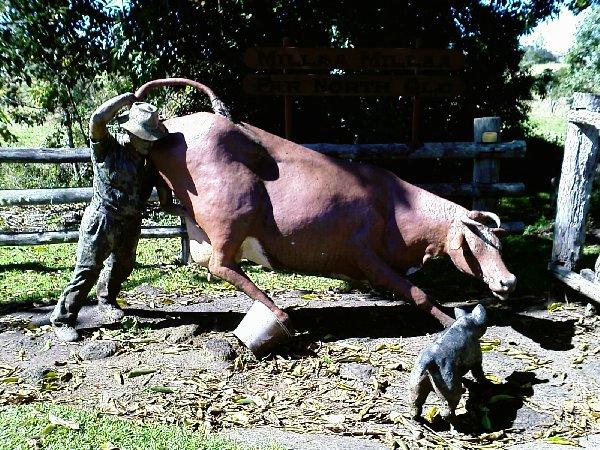 the things you find people make statues of in Australia!!