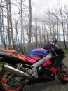Snowy Ride 07