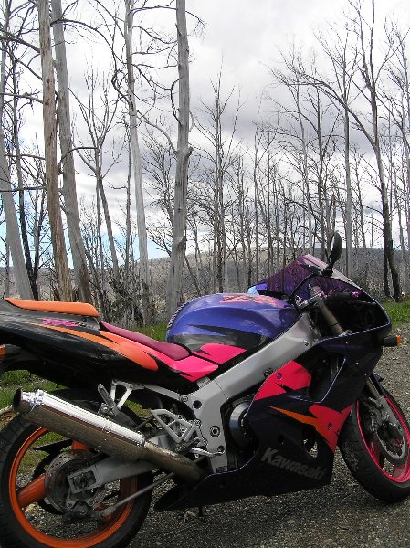 Snowy Ride 07