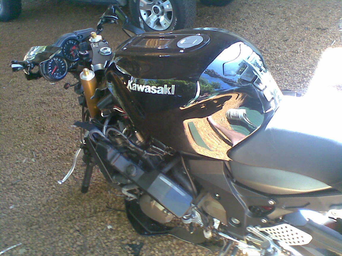 Ball's dead 12 #1.jpg