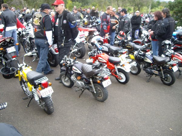 Pocket bikes