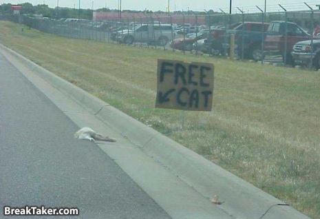 FreeCat.jpg