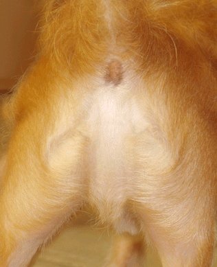 Can you see Jesus?