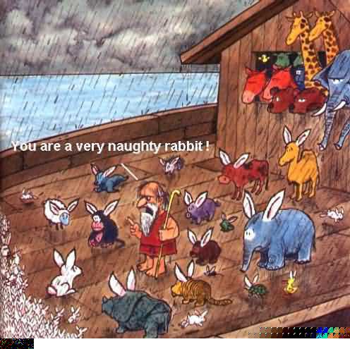 Noahs Ark.jpg