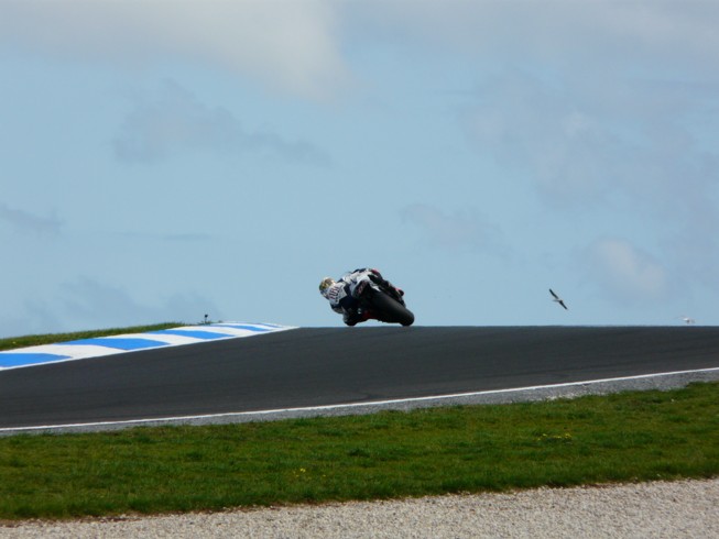 MotoGp 08 207.jpg