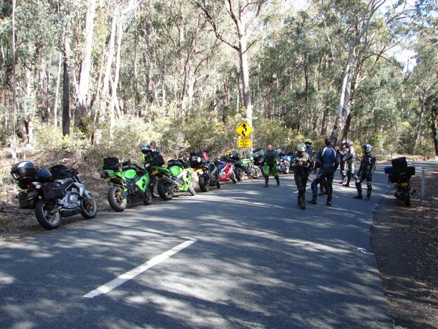 Searching for squirrels