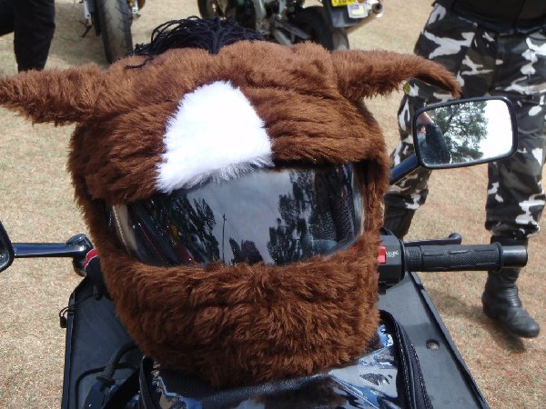 Horse Cover