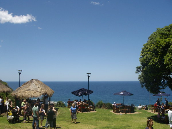 the view