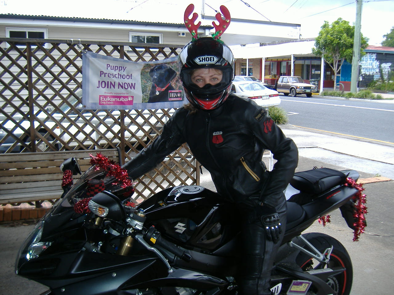 Santa's Little Helper