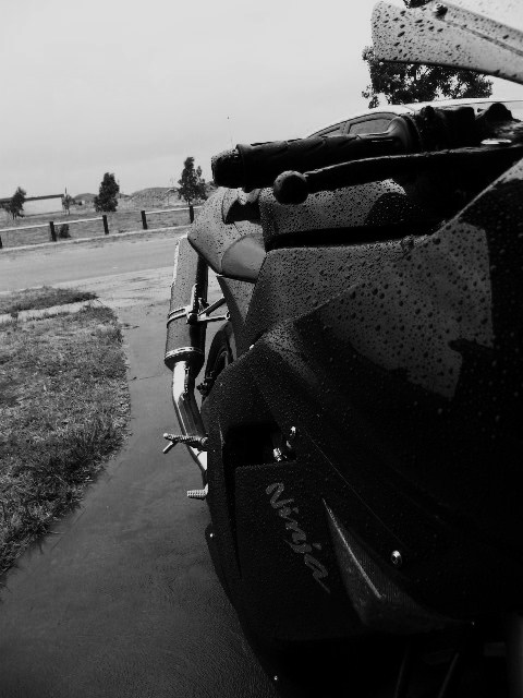 Black and white? Did you just say BLACK and white?  Are you a racist?