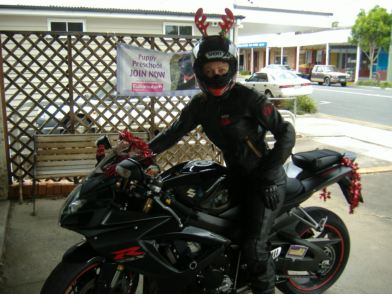 Santa's Little Helper 2008.JPG