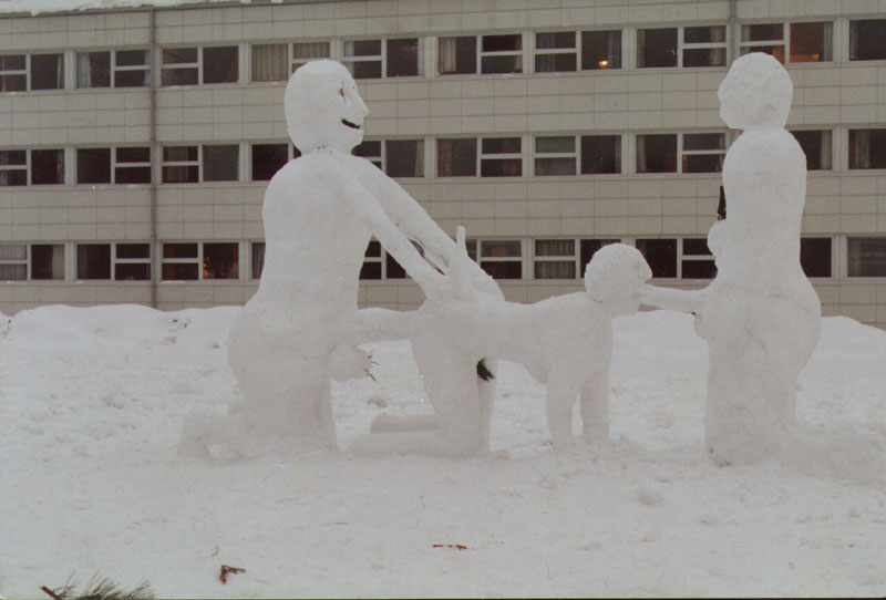snowblow.jpg