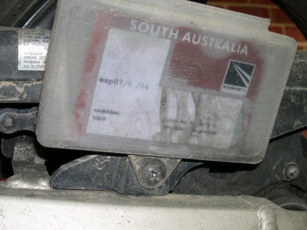 rego1.jpg