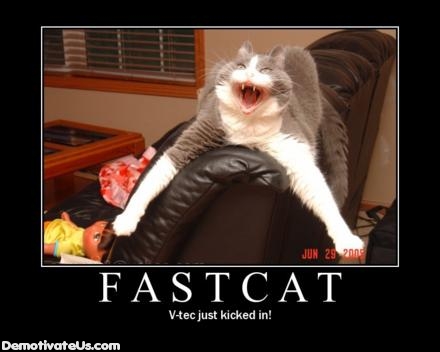 fastcat-vtec-lolcat-demotivational-poster.jpg