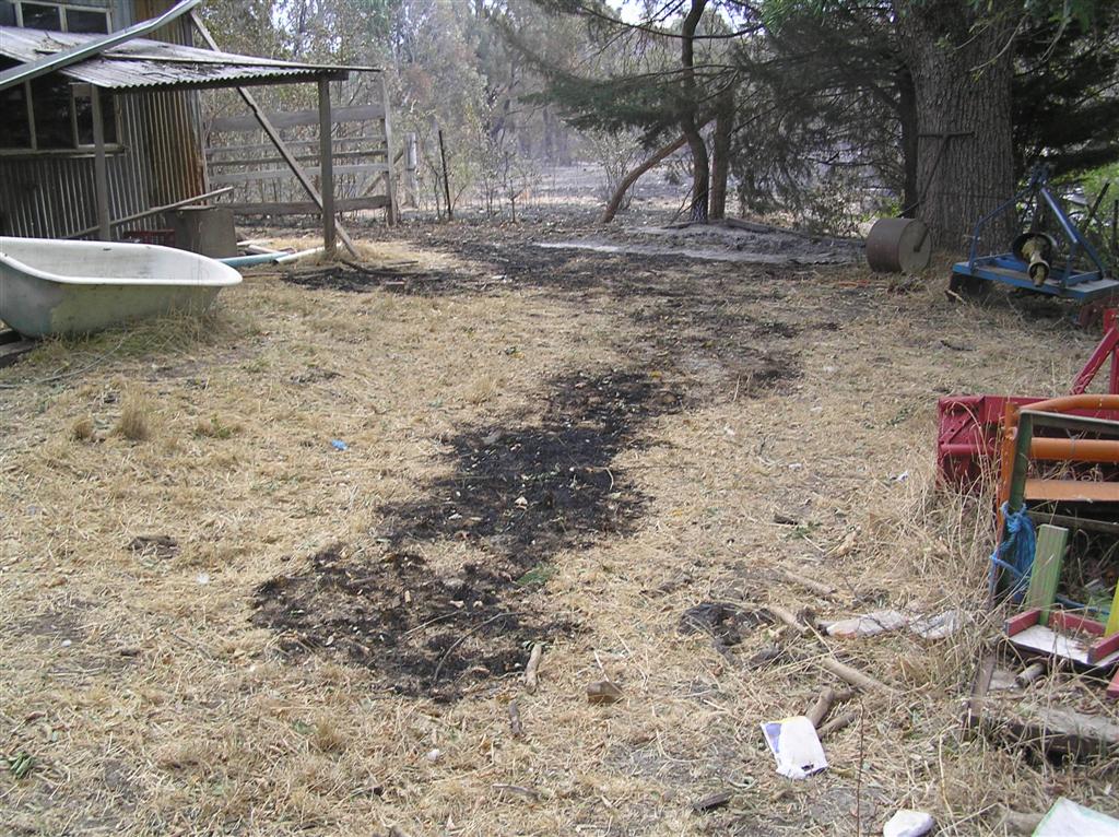 His Mates said he was blessed and you can see why!