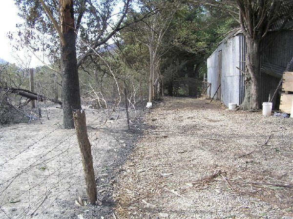 Close to his hayshed (attached to his House)