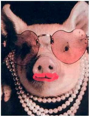 pig.jpg