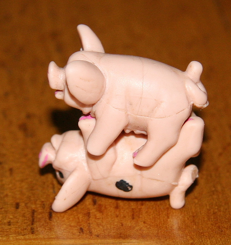 PigRoot.jpg