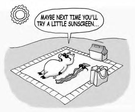 Sunbakd Pig.jpg