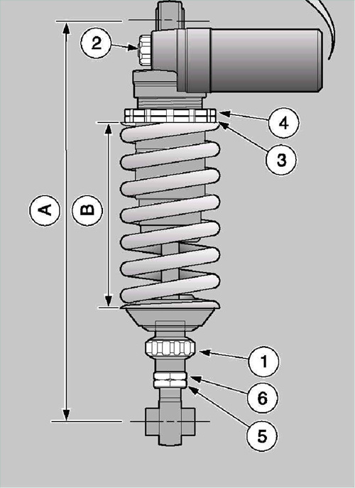 rear adjust.jpg