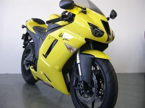 Bumble Bee 2.jpeg