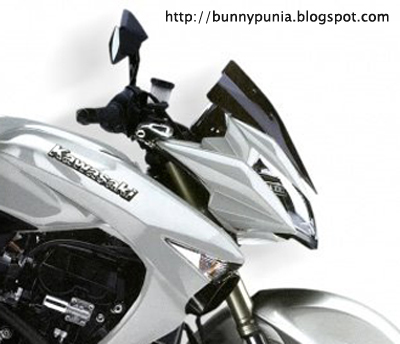 Kawasaki-Z1400-1.jpg