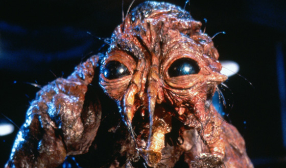 Goldblum-as-fly.jpg
