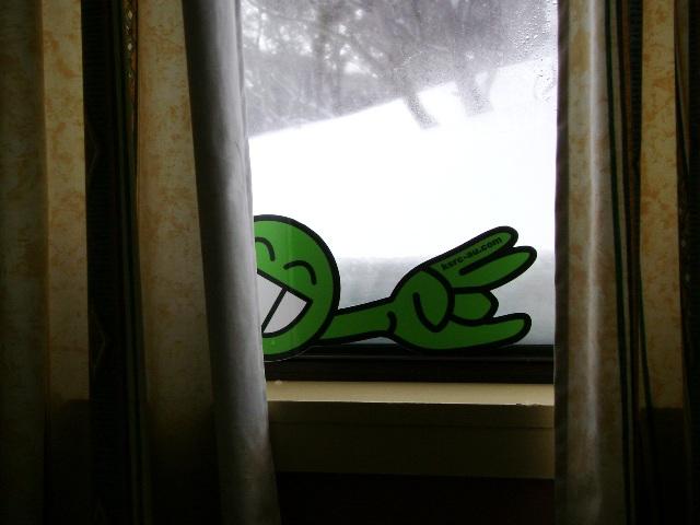 Woke up the next morning to fresh snow how cool