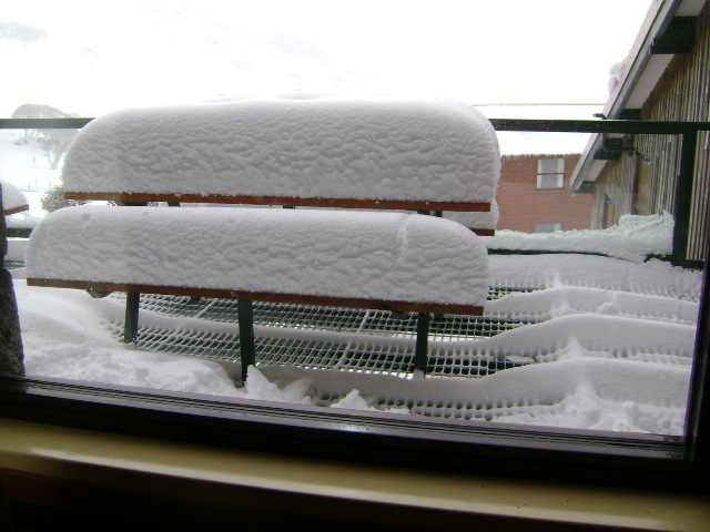 Found out there was 30 cm of snow overnight