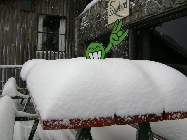 Picture 045.jpg