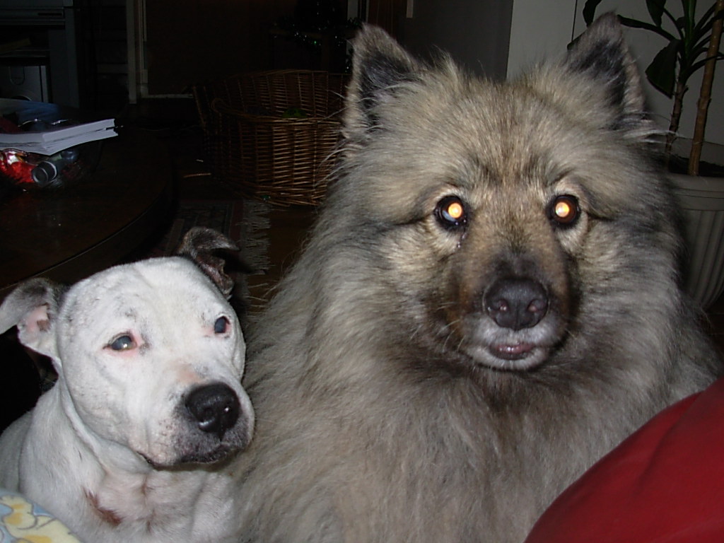 Mistermenor And Keeesha