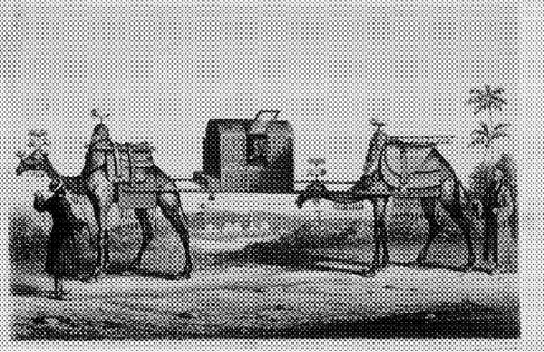 Burton_Camel_Train.gif
