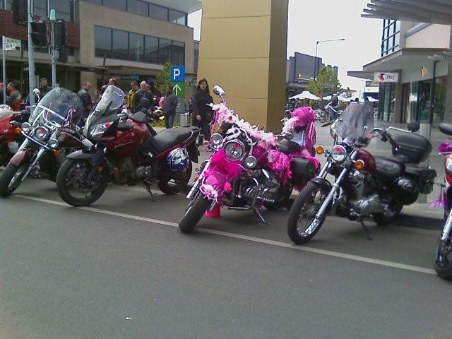 Pink was the order of the day, but the order was misplaced, and no one told this guy!