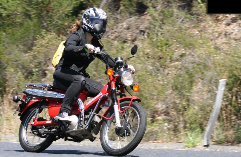 Postie Chick