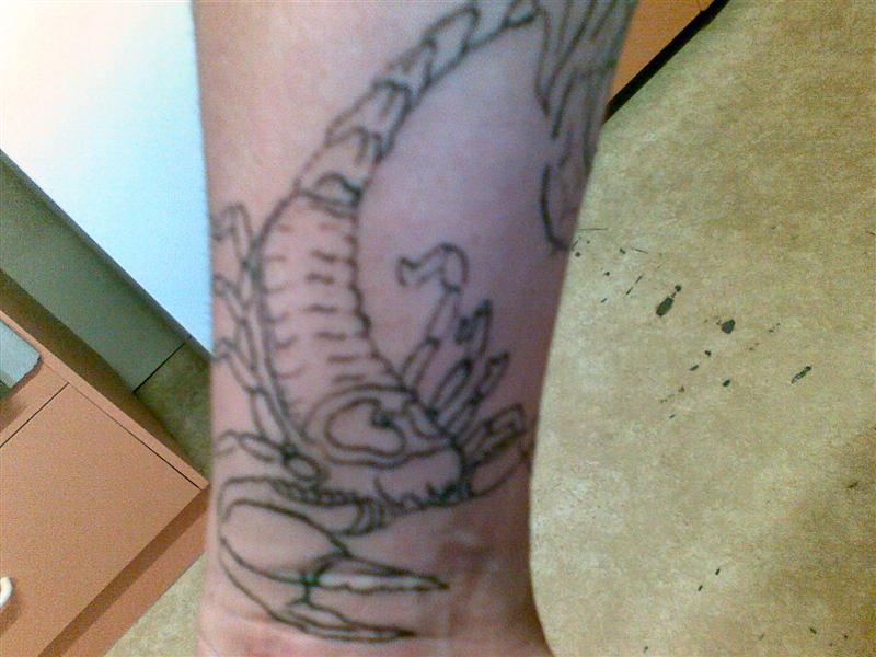 09022010(003) (Medium).jpg